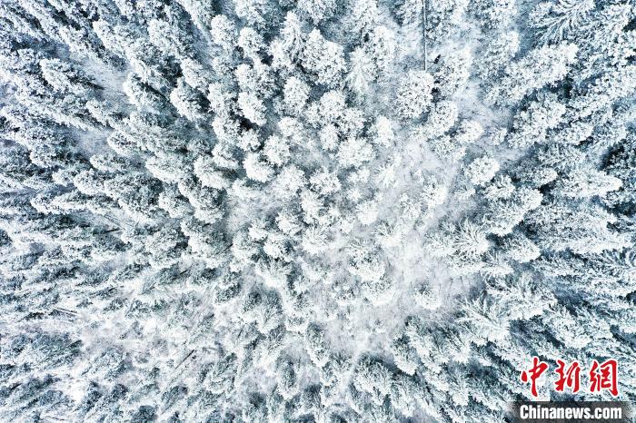 壤塘的雪后美景。　壤塘縣融媒體中心供圖
