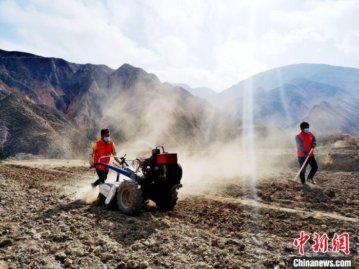 圖為拖拉機(jī)在山地犁地。　張?zhí)砀?攝