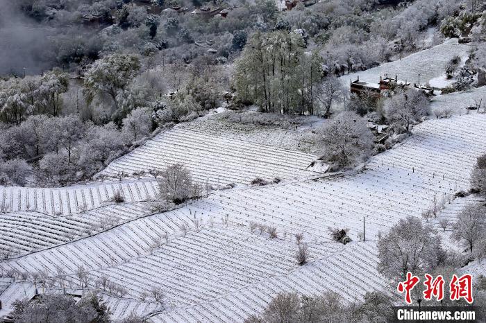 雪后的高山田間如畫?！±钣腊?攝