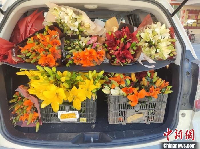 剛剛采摘下來的百合花?！∪捞量h委宣傳部供圖