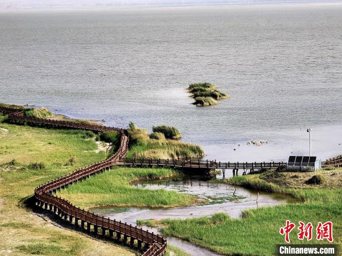 圖為都蘭湖國家濕地公園觀光棧道?！∑钤鲚?攝