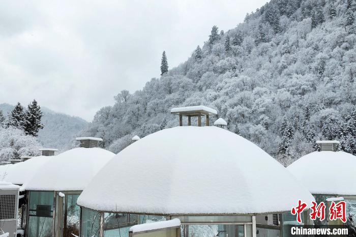 大熊貓國家公園王朗片區(qū)春雪如畫，宛若仙境?！×_春平 攝