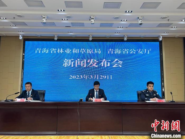 青海去年占用林地、草地準(zhǔn)予許可件同比實(shí)現(xiàn)“雙減”