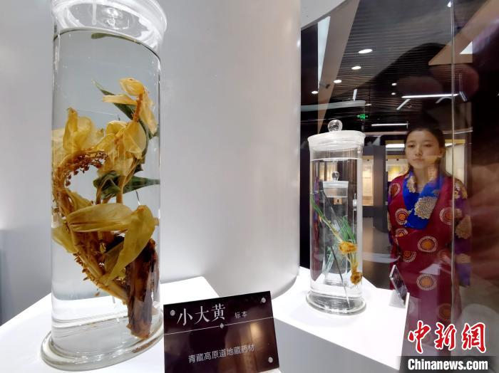青海中藏醫(yī)藥發(fā)展提速：建設(shè)一批重點(diǎn)?？茖W(xué)科，推廣一批適宜技術(shù)