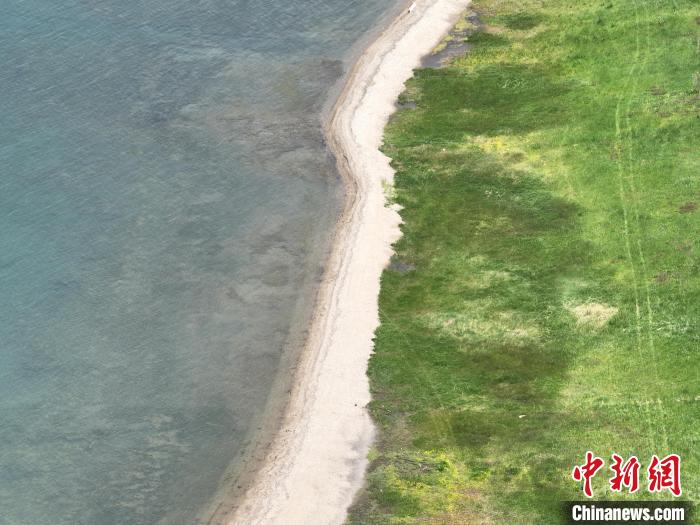 圖為航拍仲夏時節(jié)，青海湖畔綠茵如毯?！∑钤鲚?攝