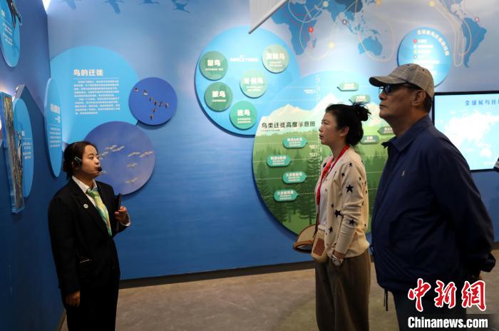 圖為臺商在祁連山國家公園生態(tài)科普館內(nèi)聆聽講解?！⊙Φ?攝