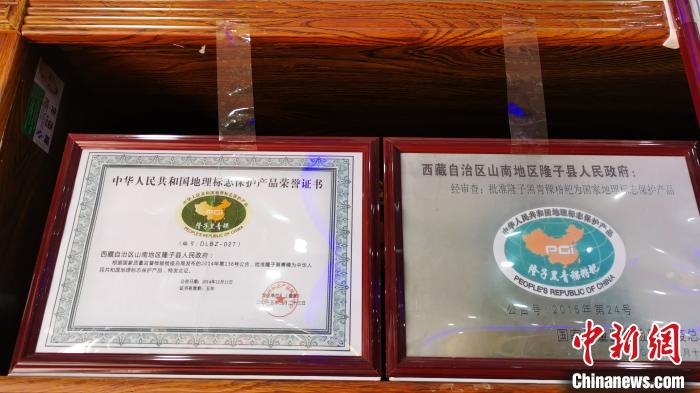 圖為2015年，隆子黑青稞成為中國國家地理標志保護產(chǎn)品。　張偉 攝