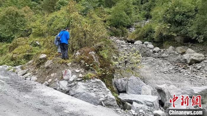 圖為折萼杜鵑被嚴(yán)重干擾的生境。　中科院昆明植物研究所提供
