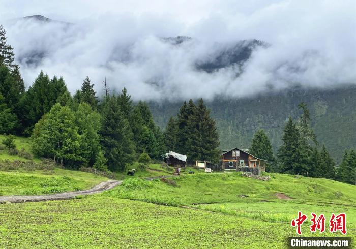 6月10日，魯朗小鎮(zhèn)高山牧場(chǎng)景區(qū)風(fēng)光。　冉文娟 攝