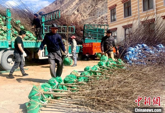 民眾搬運苗木?！〔际忻⒖悼h委宣傳部供圖