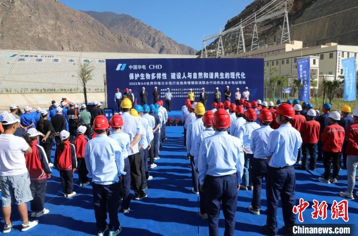 圖為蘇洼龍水電站魚類放流現(xiàn)場?！√K洼龍水電站供圖