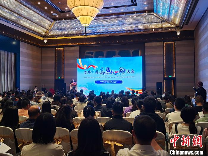 圖為首屆中國(guó)高原心胸大會(huì)現(xiàn)場(chǎng)?！☆D旦旺姆 攝