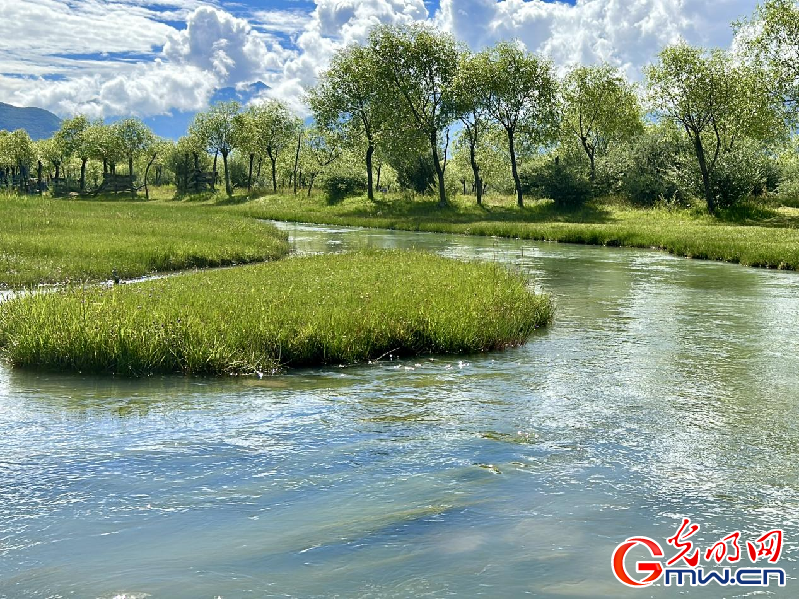 我們的家園丨【組圖】 綠水青山入畫(huà)，“金山銀山”筑起