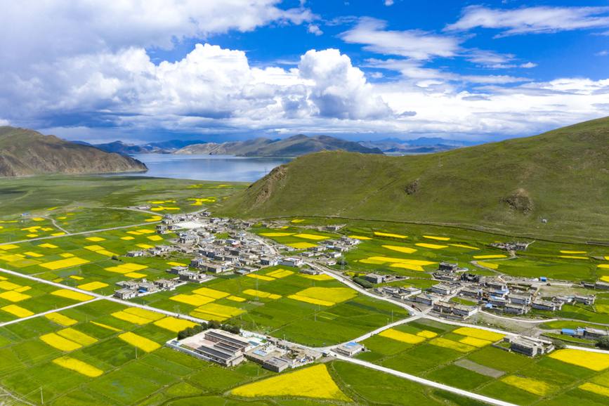 航拍道布龍村，依山傍水，阡陌縱橫。