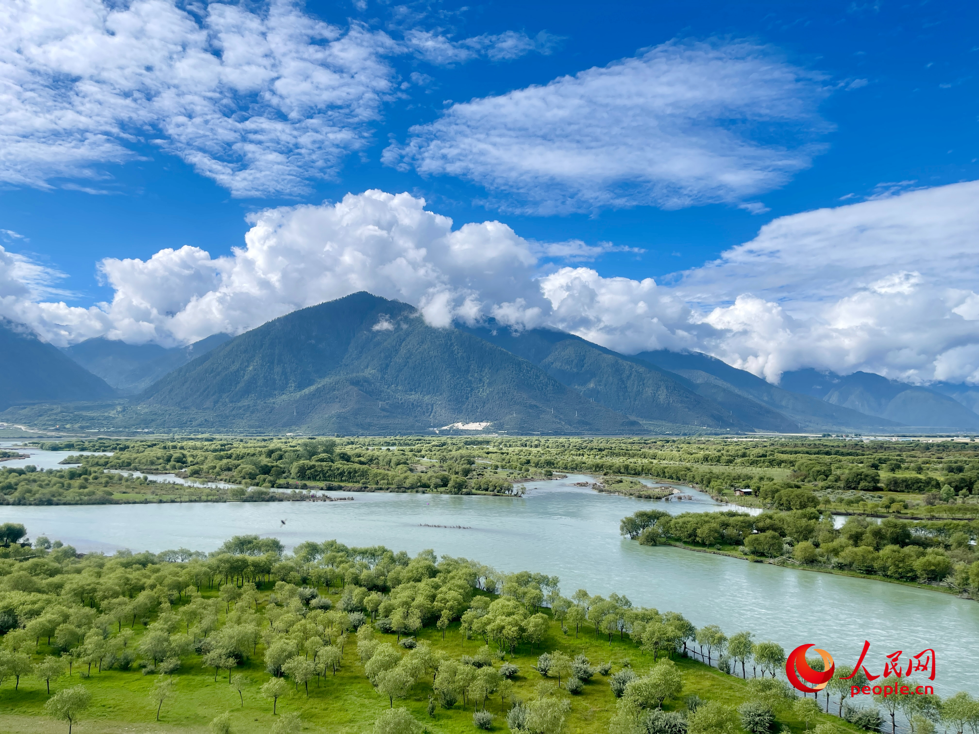 夏日的雅尼國家濕地公園生機盎然，如詩如畫。人民網(wǎng) 周靜圓攝