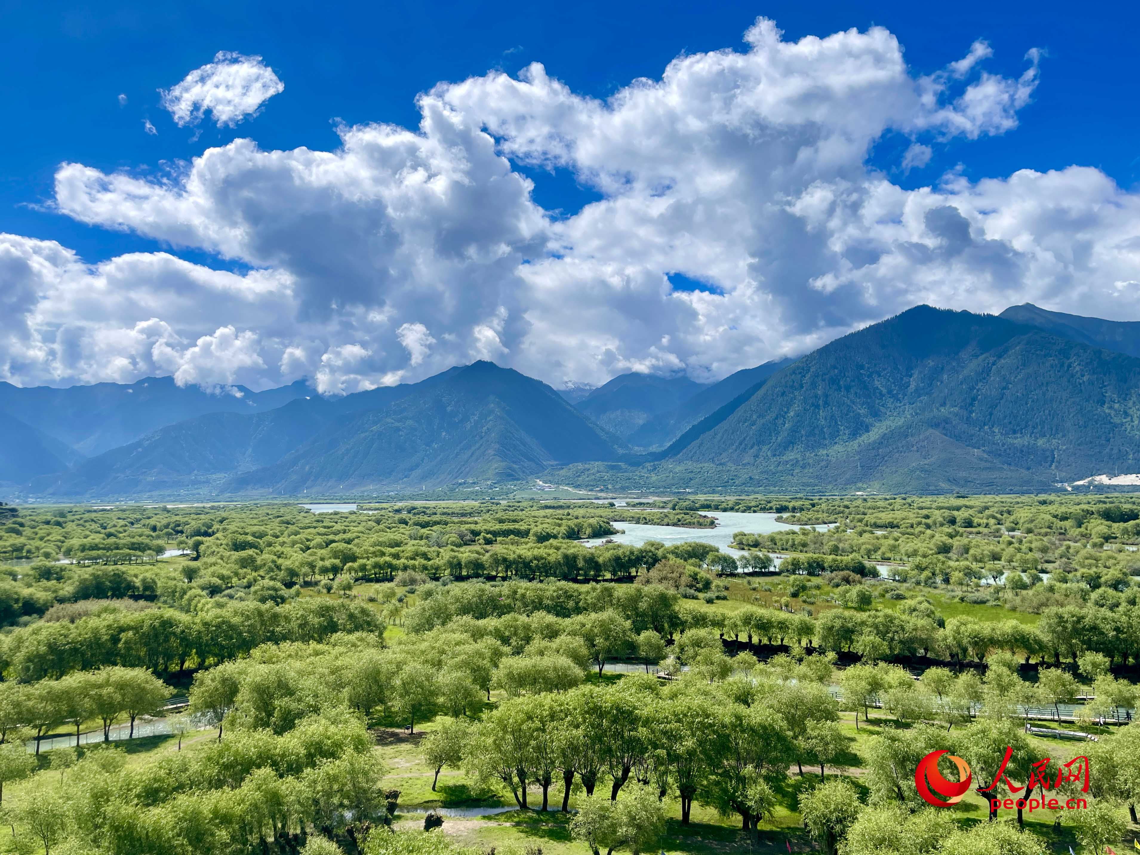 夏日的雅尼國家濕地公園生機盎然，如詩如畫。人民網(wǎng) 周靜圓攝