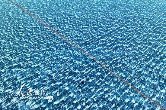 冰湖趕羊【4】