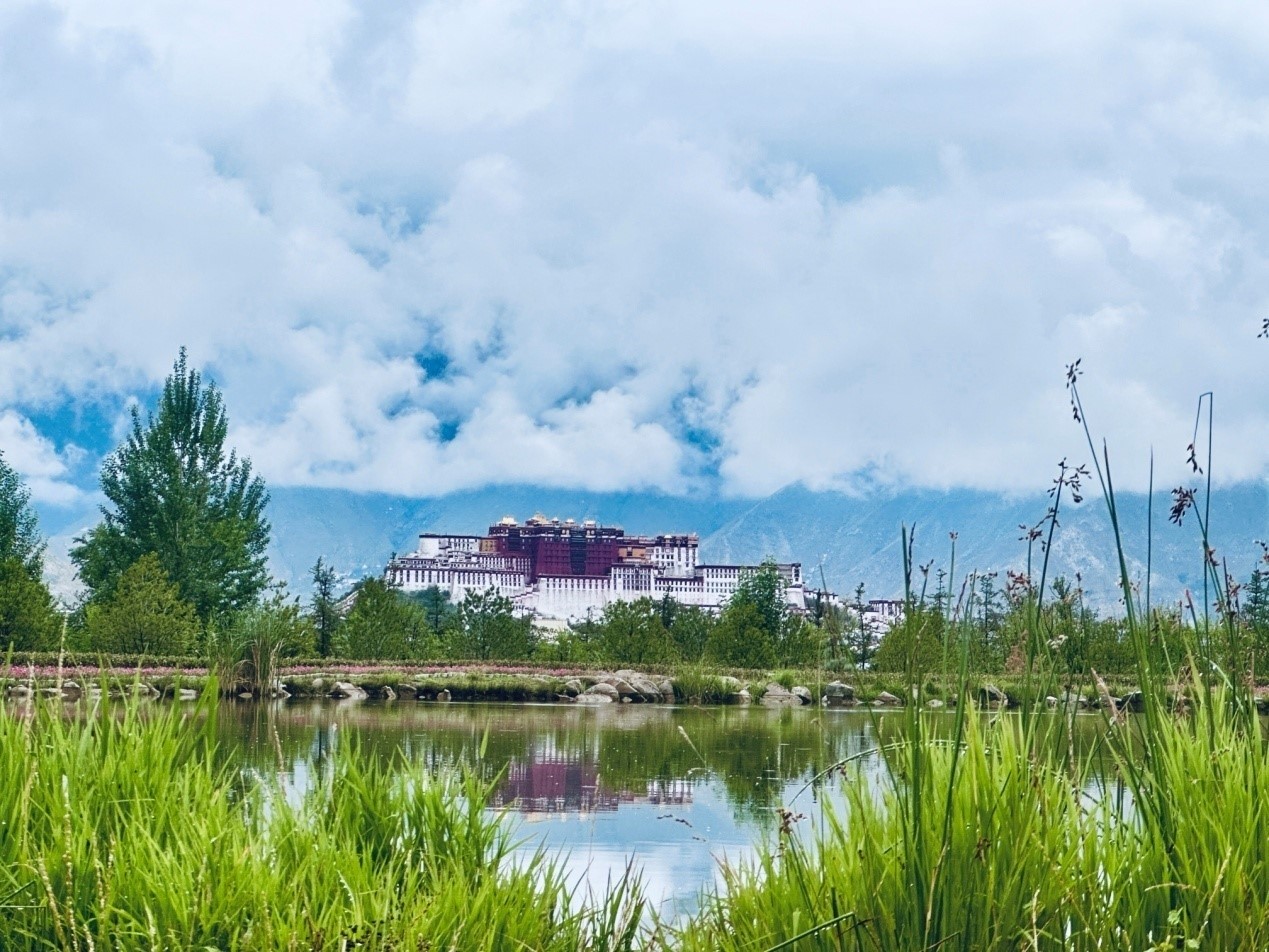 在南山公園遠(yuǎn)眺布達(dá)拉宮。人民網(wǎng)記者 益西康珠攝