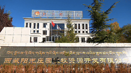 青稞“蛻變”，牦?！俺鋈Α保】次鞑剞r(nóng)牧民的“十四五”豐收答卷