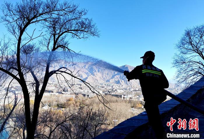 12月6日，布達(dá)拉宮消防救援大隊(duì)在布達(dá)拉宮山體林草區(qū)域開(kāi)展?jié)窕ぷ鳌！㈣?攝