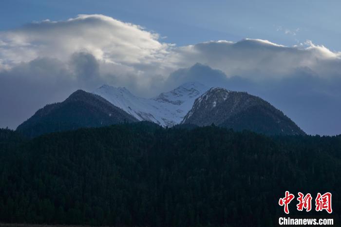 西藏波密縣的原始森林與雪山風(fēng)光?！〗w波 攝