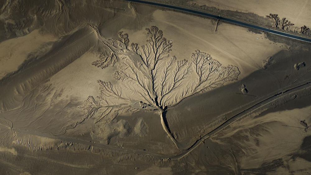 無人機視角下的西藏阿里地區(qū)改則縣“大地之樹”景觀。尼瑪多吉攝