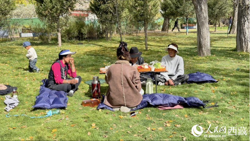 圖為市民在公園內(nèi)聚會(huì)。人民網(wǎng)記者 次仁羅布攝