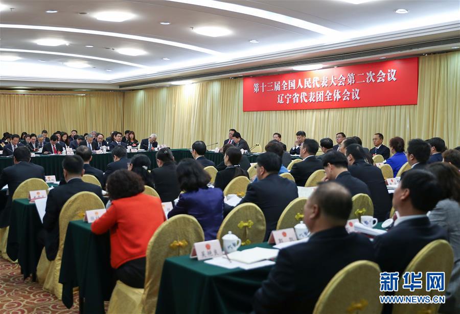 （兩會(huì)）（2）遼寧代表團(tuán)全體會(huì)議向媒體開放