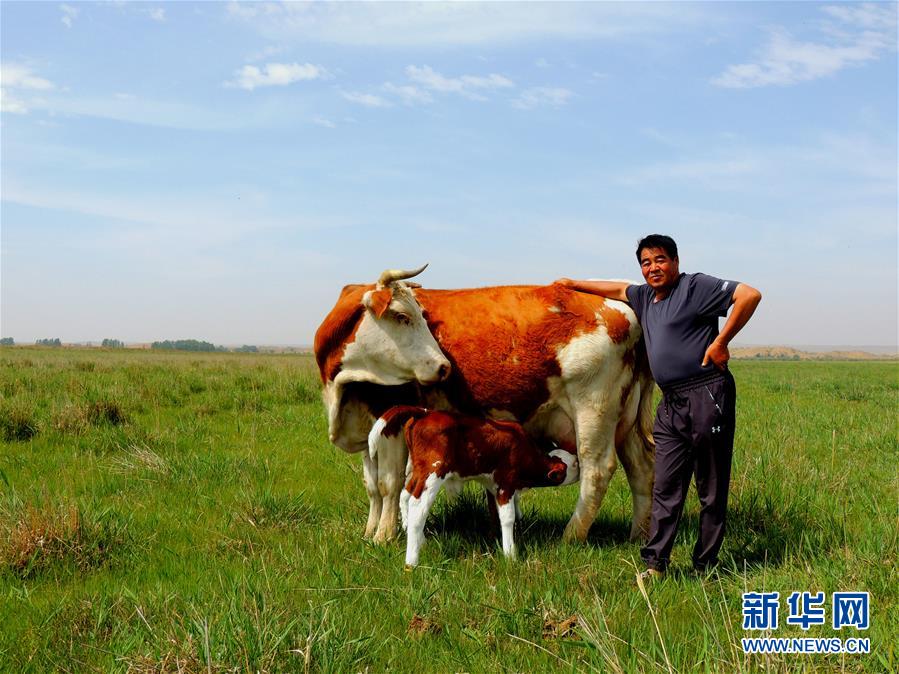 （奮斗百年路　啟航新征程·“七一勛章”獲得者·圖文互動(dòng)）（4）“草原之子”廷·巴特爾：讓草原綠起來，幫牧民富起來