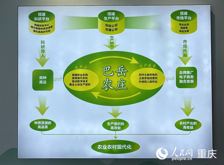 “巴岳農(nóng)莊”運(yùn)作示意圖。人民網(wǎng)記者 劉政寧攝
