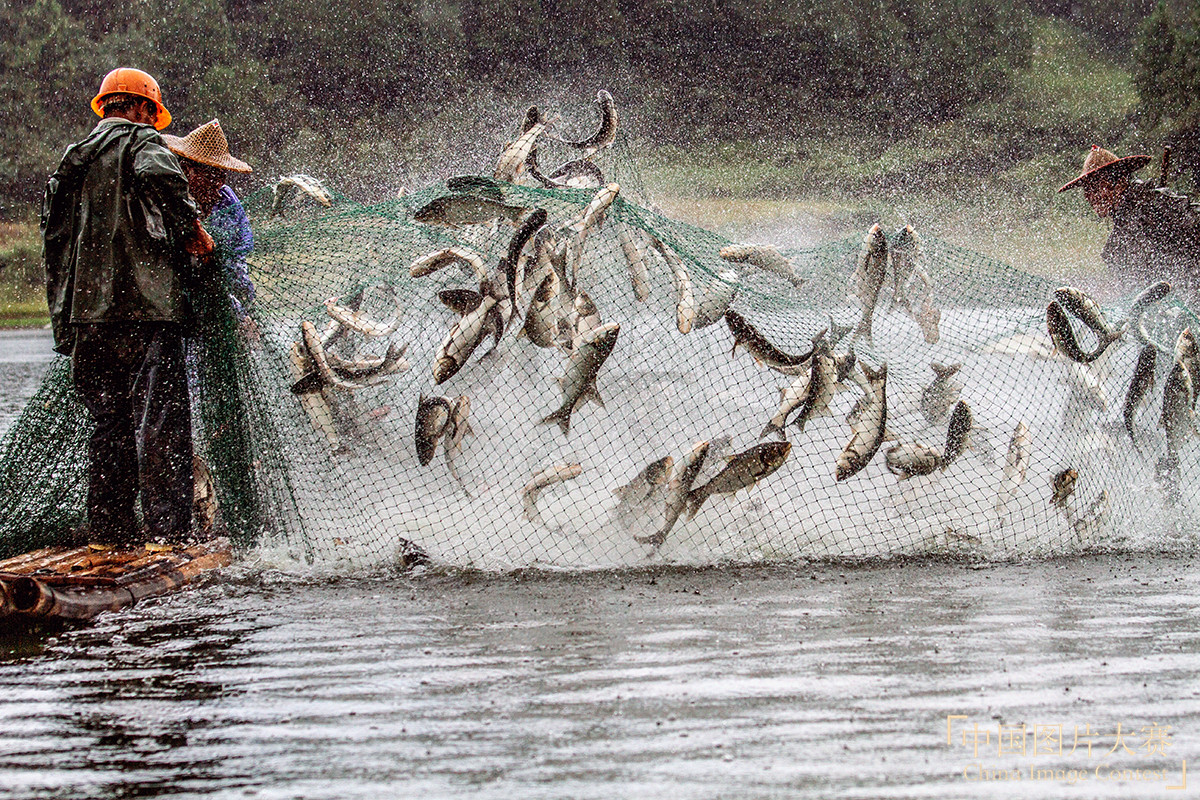 魚躍人歡樂